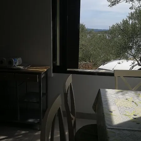 Apartment Vrsaljko Betina (Sibenik-Knin)