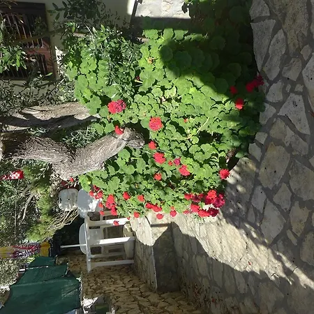Vrsaljko Apartment Betina (Sibenik-Knin)
