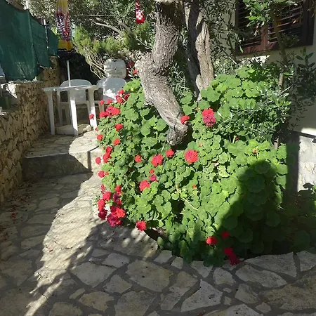 Apartment Vrsaljko *