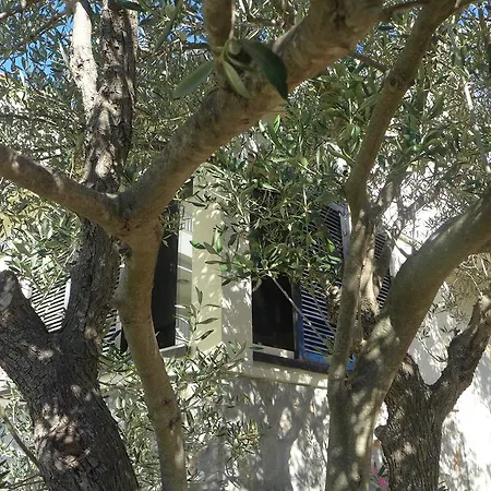 Vrsaljko Apartment Betina (Sibenik-Knin)